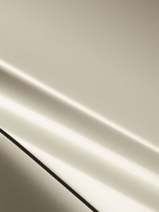 Серебристая Ива