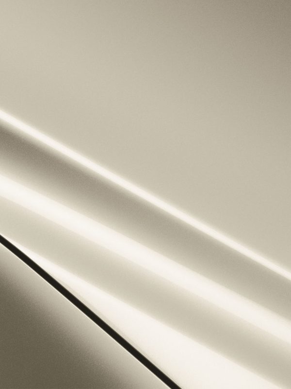 Серебристая Ива